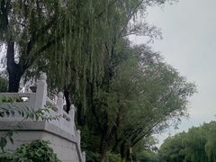 -南长河公园