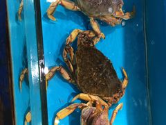 -学府海鲜批发市场