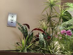 -奈雪的茶(正弘城PRO+店)