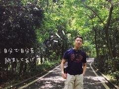 -大屏嶂森林公园