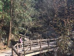 -藏龙百瀑风景区