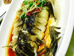 -老毛手抓·盐池滩羊非遗手抓(宁夏总店)