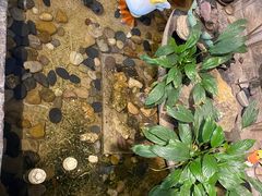 -阿嫂印象·民间江湖菜(大学城店)
