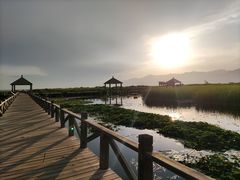 -哈素海