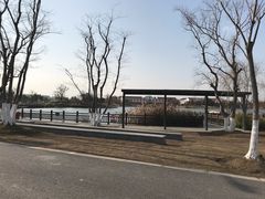 景点-上海长兴岛郊野公园