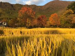 -塔川景区