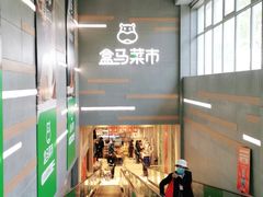 -盒马鲜生(红莲店)