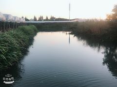 -马陆小张葡萄园农家乐