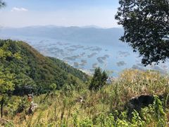 -鱼乐岛餐厅·户外花园主题餐厅