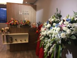 前台-Lumiere hair 路米日系美发