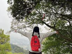 -灵岩山风景区