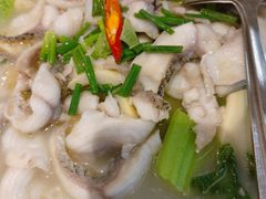 -周正水煮活鱼·吊水鱼(万科店)