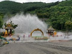 -西双版纳原始森林公园