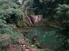 -芦沟竹海
