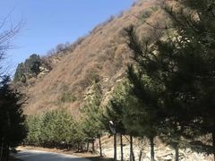 -少华山国家森林公园