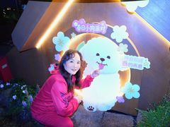 -首开·龙湖成都西宸天街