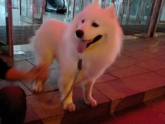 -深圳大学城荔园一食堂(校园路)