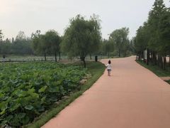 -日照海滨国家森林公园