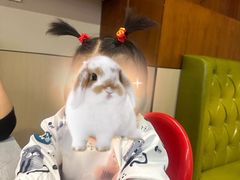 -东淮西川(国金店)