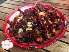 -柴窝堡22号辣子鸡·传承新疆菜