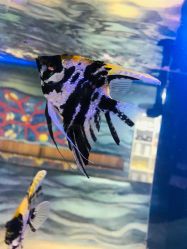 -酷嗒动物文化乐园(cutezoo西溪乐天城店)