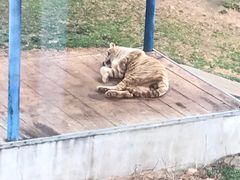 -无锡动物园·太湖欢乐园