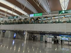 -上海浦东国际机场-T2航站楼