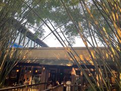 -勐丽梦兰傣味餐厅