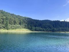 -武陵山森林公园