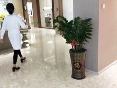 -柏乐口腔医院·舒适化无痛种植牙中心(东盟商务区院)
