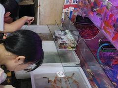 -曲阳花鸟市场(曲阳路店)