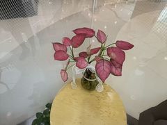 -瑞尔齿科(南京东路名人诊所)