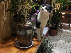 -萤火虫咖啡(后海店)