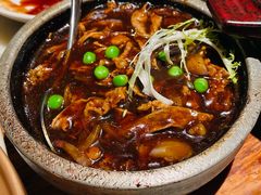 -佬肥猫(国华广场店)