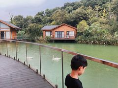 -杭州开元森泊度假乐园