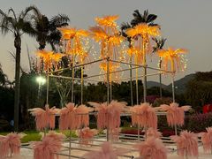 -东南花都花博园