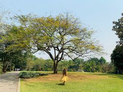 -中国科学院西双版纳热带植物园