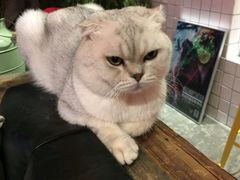 -MIKAKU(万达广场上海宝山店)