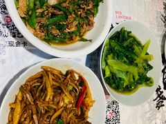 -壹盏灯(惠农店)