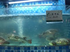 -春盛渔府(牛首山店)