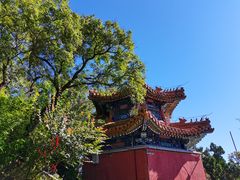 -华盛园卷子王农家菜水库鱼