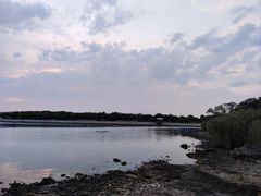 -上海市保健医疗中心