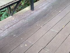 -呀诺达热带雨林