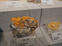 -湖南省地质博物馆