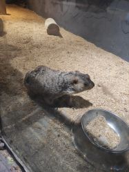 -酷嗒动物文化乐园(cutezoo西溪乐天城店)