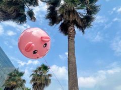 -金沙湖公园