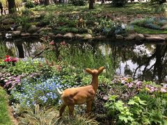 -上海共青森林公园