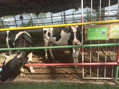 -南宫五洲植物乐园