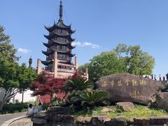 -观潮胜地公园