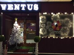神誕節佈置-ventus spa 沙巴亚庇正宗精油按摩会所
